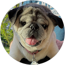 Joan profile picture